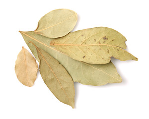 Aromatic bay leaves isolated on white background