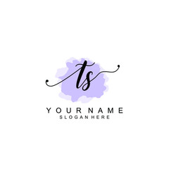 TS Initial handwriting logo template vector
