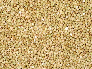 Buckwheat texture high-quality photograph of premium buckwheat groats