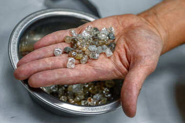A wide variety of rough diamonds are in the palm of your hand. Many small gems