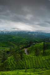 landscape with hills