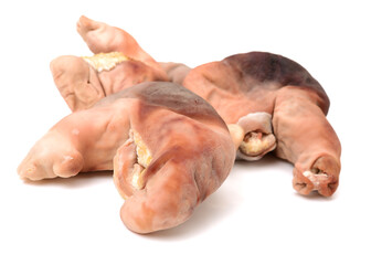 pig's organs on white background 