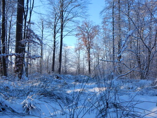 river in winter