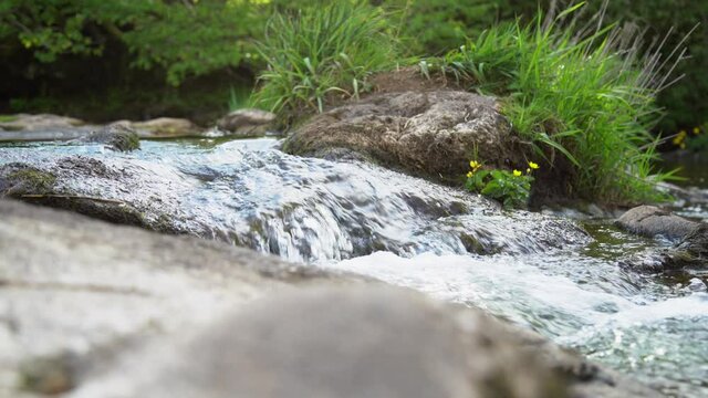 Small fast streaming stream on a small waterfall splashing drops in Loch Lomond, Scotland. Close up shot