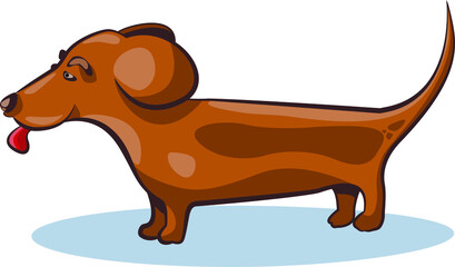 brown dachshund dog with tongue hanging out