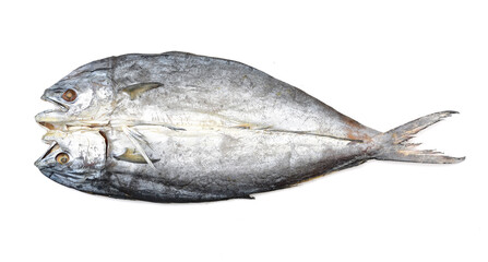 Dried salted fishes on white background