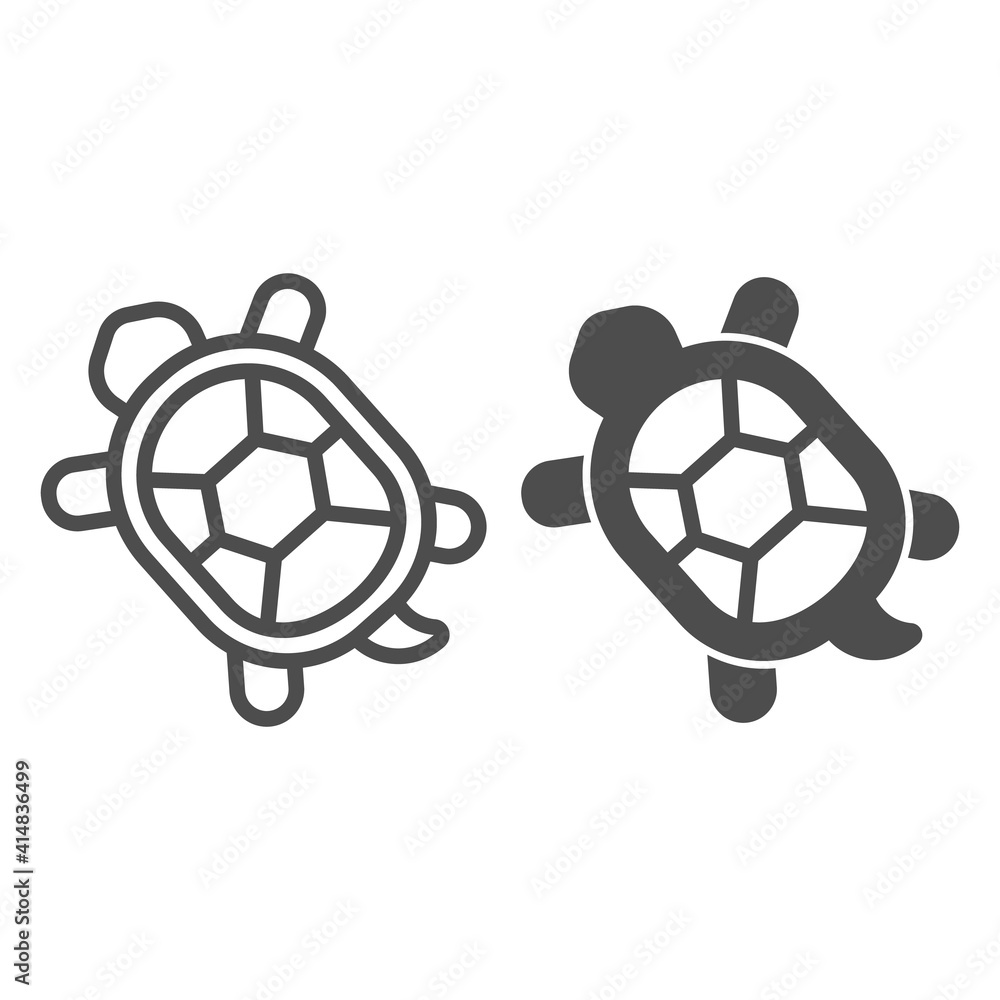 Poster turtle with hard shell line and solid icon, domestic animals concept, tortoise sign on white backgro
