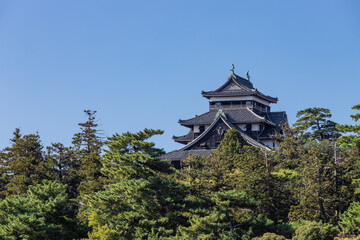 Fototapeta premium 国宝松江城天守閣 島根県松江市
