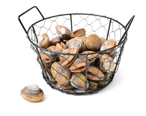 clams isolated on white background