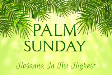 Fototapeta na wymiar Palm Sunday - greeting banner template for Christian holiday, with palm tree leaves background. Congratulations with first day in Holy Week and symbol of triumphal entry into Jerusalem