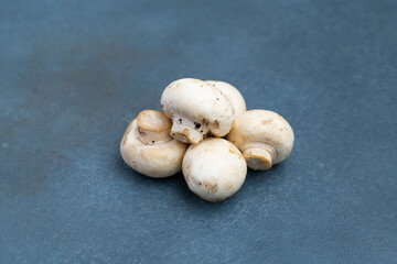 マッシュルームと白背景