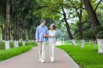 Happy old couple walking in the park