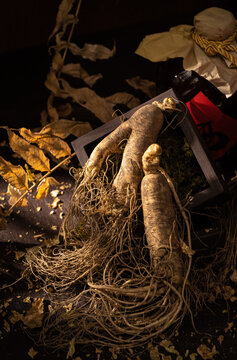 Northeast ginseng on dark background
