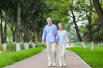 Fototapeta premium Happy old couple walking in the park