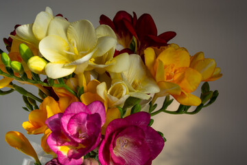 Fototapeta na wymiar spring bouquet of fresh freesia flowers