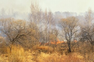 Spring grass fire. Khabarovsk Krai, far East, Russia.