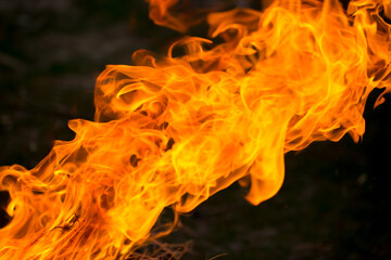 Flame of fire on black background. Fire close-up. Forest fires, burning trees. Firewood by the...