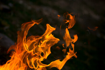 Flame of fire on black background. Fire close-up. Forest fires, burning trees. Firewood by the fireplace.