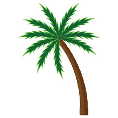 a single green and brown coconut tree
