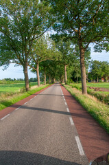 road in the country