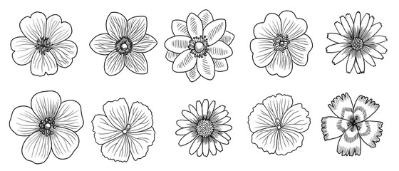 Vektorzeichnungssatz Blumen © cat_arch_angel