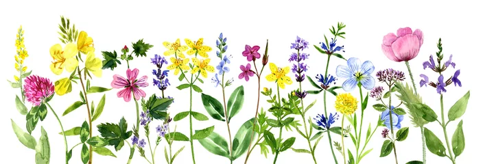 Aquarellzeichnung Blumenhintergrund © cat_arch_angel