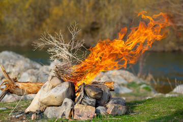 Bred bonfire in nature from camellias and branches. Flames of fire on the background of the forest and the river. Fire close-up. Forest fires, burning trees. Picnic, food at the stake.