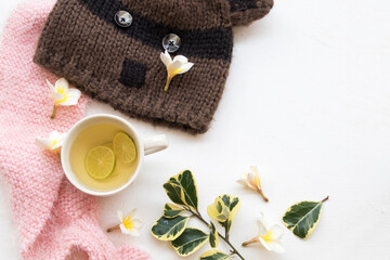 herbal honey lemon healthy drinks health care for sore throat with pink  knitting wool scarf ,hat of lifestyle woman relax in winter season and flowers frangipani arrangement flat lay style