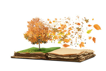 Open magic book with growing autumn tree and flying leaves on white background