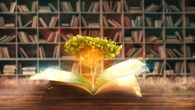 Open Magic Book With Growing Tree On Table In Library