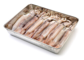 freshly squid on white background 
