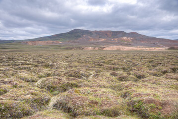 moss flourishing at Krafla lava fields at Leirhnjukur on Iceland