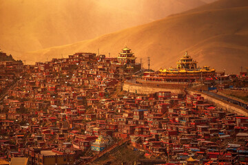 Tibetan