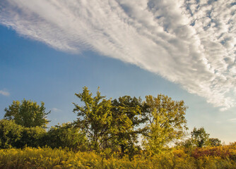 620-82 Poverty Prairie Sky