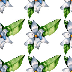 watercolor pattern magnolia flowers, white magnolia, seamless vintage pattern