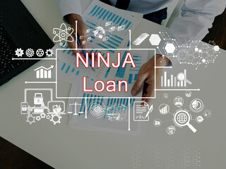  Financial concept meaning NINJA Loan with inscription on the page.