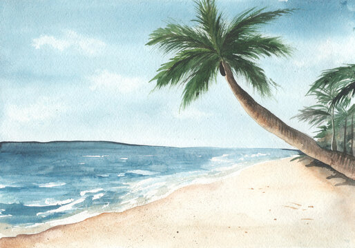 Sandy beach by the ocean with palm tree watercolor