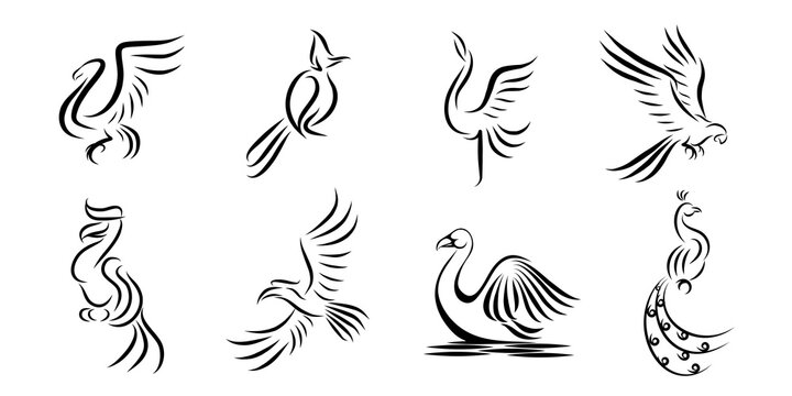 Set of eight vector images of different birds. Line drawing Can be used as a symbol Marks or logos are acceptable.
