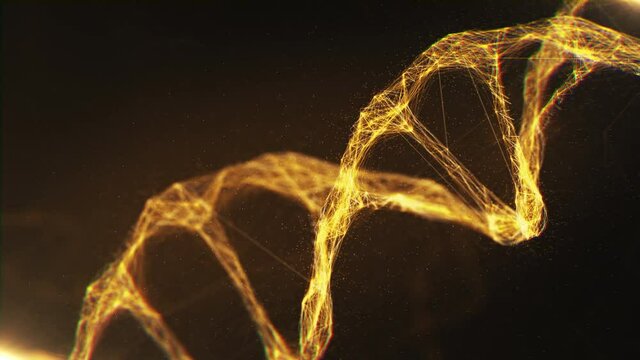 Close-up Golden Molecules Structure DNA Rotating on Glowing Backdrop. Bright 3D Animation Biotech DNA Model Rotation. Hologram of Genome Information Deoxyribonucleic Acid Body. Microscopic Concept 4k