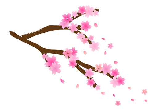 299 2 Best 花びら Images Stock Photos Vectors Adobe Stock 299 2 Best 花びら Images Stock Photos Vectors Adobe Stock