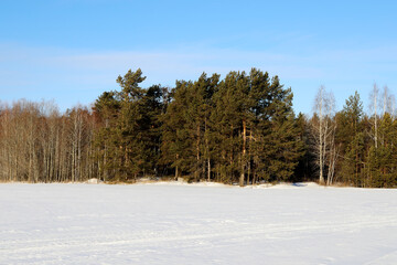 Fantastic winter landscape.
Colorful, blue sky. The field is covered with snowdrifts. Great view of the wilderness. Explore the beauty of the land. Tourism concept