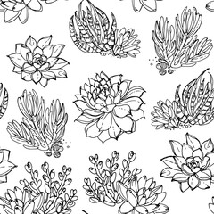 Pattern Cacti and succulents, indoor flowers in pots. Home decor. Vector line sketch