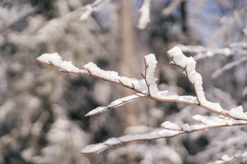 Idylische Winterszene im Naturpark Steinwald