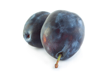 Blue plum fruit  on white
