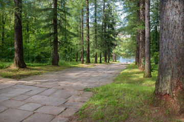 Obraz premium Descent to the pond along the forest alley