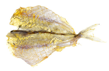 Dried yellow minke fish isolated on white