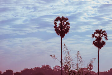 Abstract Background A view of the countryside of Asia, painted in retro and pastel tones, giving a feeling of a flashback to the past.