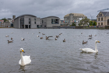 Town hal in the Icelandic city Reykjavik
