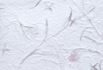White sa paper texture or mulberry paper with green plant and rose petal on background