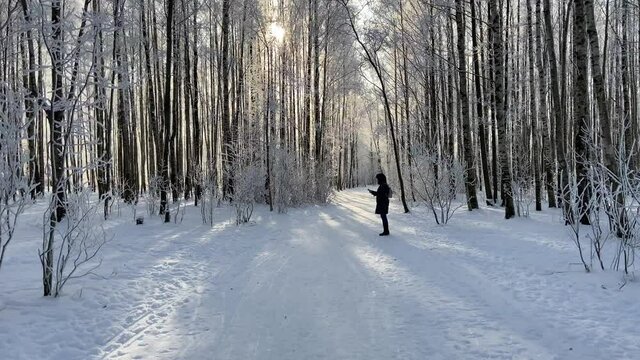 Woman walking at alley and taking photos by phone of birch trees in a winter park with snow